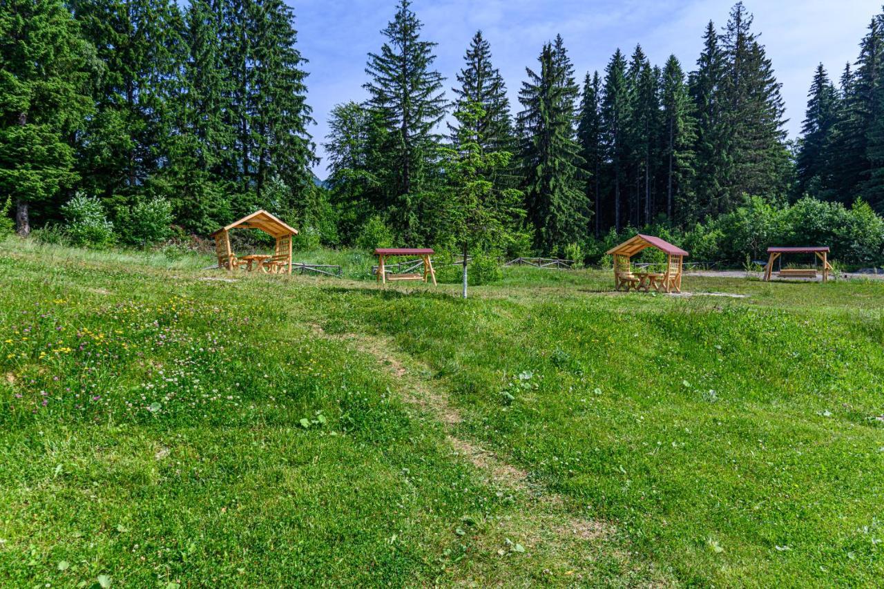 פויאנה ברשוב Pine Woods Studio D113 In Silver Mountain מראה חיצוני תמונה